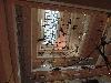 DSC00127 r.JPG