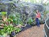 DSC00138 r.JPG