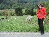 DSC00184 r.JPG