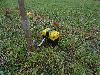 DSC00186 r.JPG