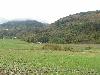 DSC00192 r.JPG