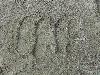 DSC00017 r.JPG