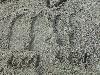 DSC00021 r.JPG