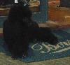 DSC00022 r.JPG