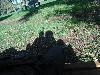 DSC00046 r.JPG