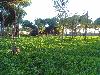 DSC00060 r.JPG