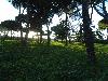 DSC00061 r.JPG