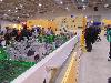 DSC00147 r.JPG