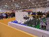 DSC00148 r.JPG
