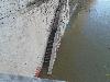 DSC00512 r.JPG