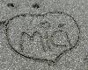 DSC00517 r.JPG