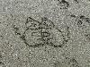 DSC00518 r.JPG