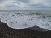 DSC00523 r.JPG