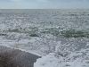 DSC00524 r.JPG