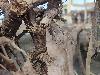 DSC00526 r.JPG