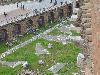 DSC00662 r.JPG