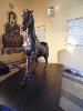DSC00608 r.JPG