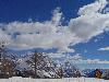DSC00835 r.JPG