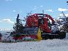 DSC00839 r.JPG