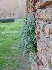 DSC00893 r.JPG