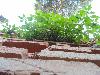 DSC00894 r.JPG