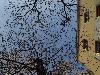 DSC00896 r.JPG