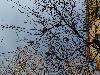 DSC00897 r.JPG