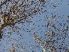 DSC00898 r.JPG