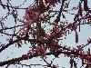 DSC00899 r.JPG