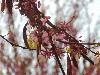 DSC00900 r.JPG