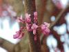 DSC00902 r.JPG
