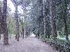 DSC00021 r.JPG