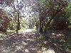 DSC00026 r.JPG