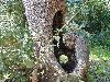 DSC00027 r.JPG