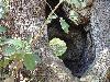 DSC00029 r.JPG