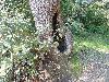 DSC00030 r.JPG