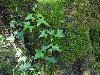 DSC00032 r.JPG