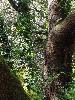 DSC00033 r.JPG