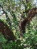 DSC00034 r.JPG