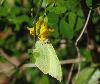 DSC00039 r.JPG