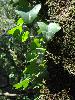 DSC00040 r.JPG