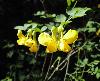 DSC00042 r.JPG