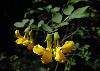 DSC00044 r.JPG