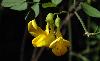 DSC00045 r.JPG