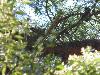 DSC00048 r.JPG