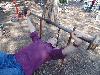 DSC00071 r.JPG