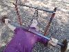 DSC00072 r.JPG