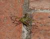 DSC00127 r.JPG
