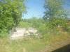 DSC00142 r.JPG
