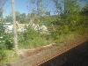 DSC00143 r.JPG